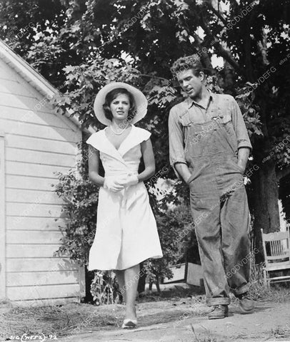 Natalie Wood Warren Beatty film Splendor in the Grass 425-18 - 0425-018