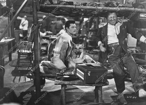James Craig Jack Oakie and the dog film Northwest Stampede 455-31 - 0455-031