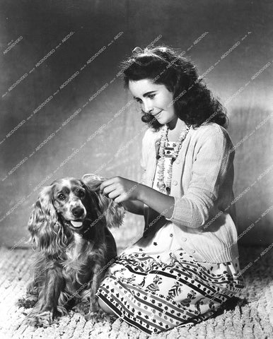 Elizabeth Taylor and the dog - 1944 film National Velvet - 0458-009