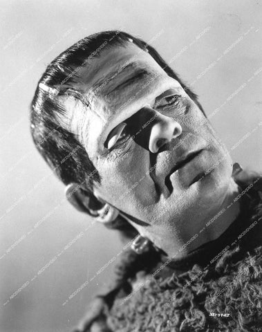 Boris Karloff monster portrait - 1939 film Son of Frankenstein - 0460-022