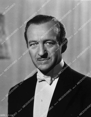 David Niven portrait - 11002-025