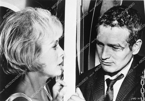 Janet Leigh, Paul Newman film Harper - 11004-021