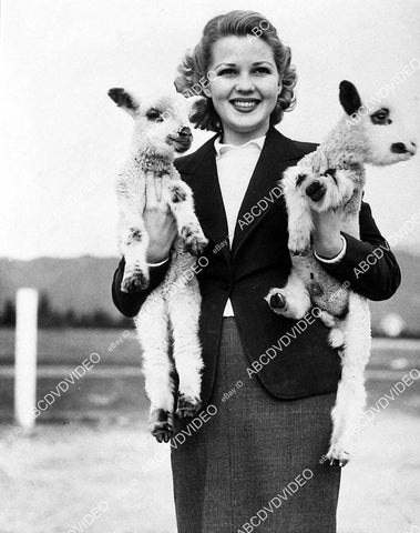 pretty Jean Rogers w 2 baby lambs - 11008-016