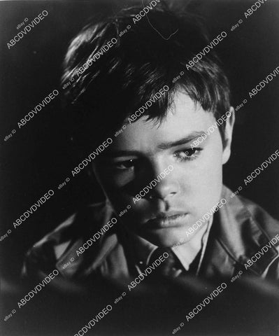 child star Stefan Arngrim portrait - 11008-024
