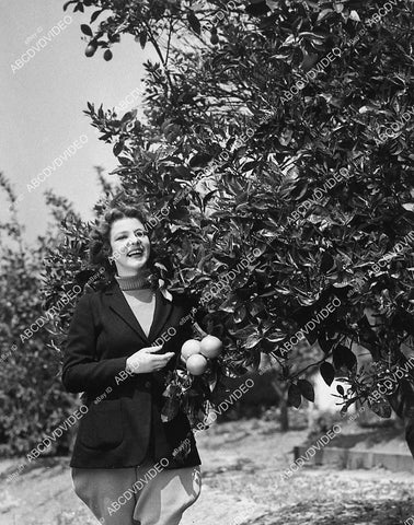 Elissa Landi picking the orange tree clean - 11011-015