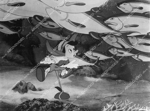 animated characters cartoon film Pinocchio - 11021-022