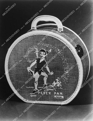 cool merchandise for Disney Animated Peter Pan handbag or purse - 11021-024