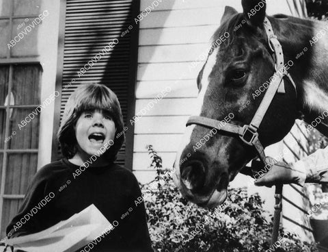 Adam Rich and a horse TV Eight Is Enough - 11027-001