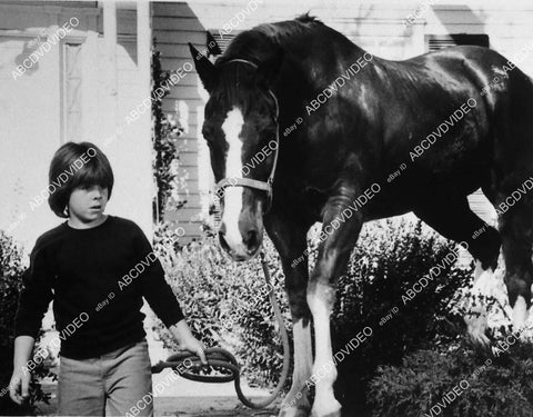 Adam Rich and a horse TV Eight Is Enough - 11027-025