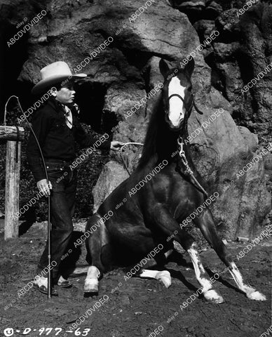 child star Don Reynolds w his pony film Beyond the Purple Hills - 11033-033