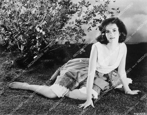 lovely Natalie Wood sitting on the grass - 11035-005