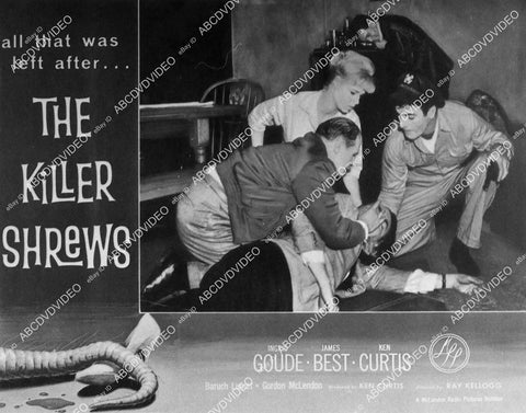 Ingrid Goude, James Best film The Killer Shrews - 11041-018