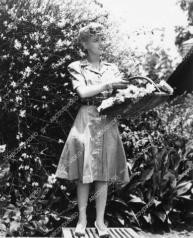 candid Penny Singleton picking some flowers at home - 11049-009