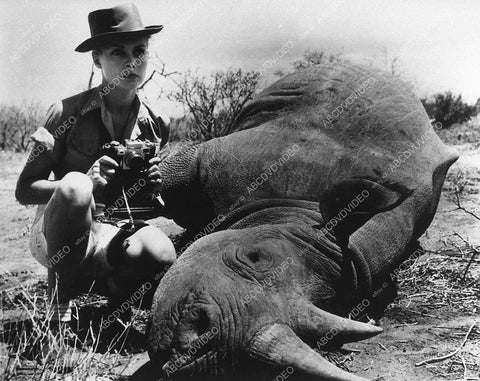 Janet Leigh photographing the dead rhino film Safari 12737-35