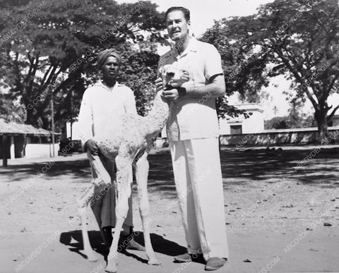 candid Errol Flynn petting a llama I think film Kim 142-35