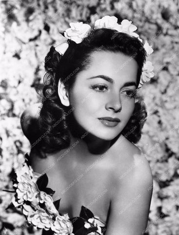cool polynesian Olivia de Havilland portrait 720-33