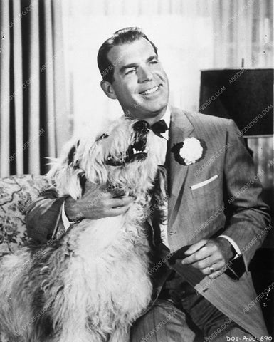 Fred MacMurray Shaggy Dog 10117-32