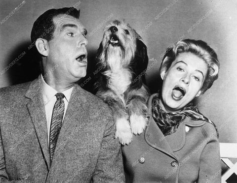 Fred MacMurray Shaggy Dog 10117-34