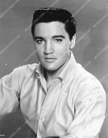 handsome Elvis Presley portrait 1026-01