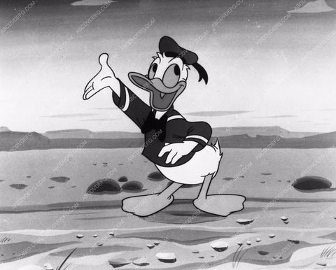 cool photo of Donald Duck 1098-01