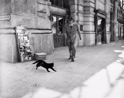 Dave O'Brien black cat Pete Smith short subject Who's Superstitious 1099-14