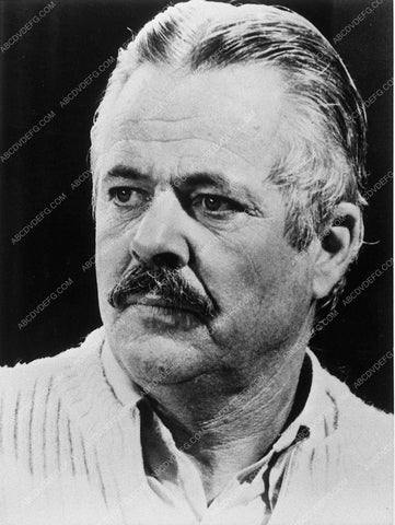 William Windom portrait 11037-25