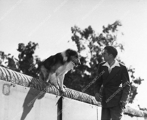 Ton Drake Lassie film Hills of Home 1141-11
