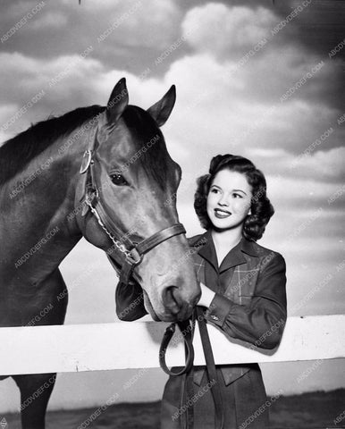 Shirley Temple film The Story of Seabiscuit 1211-12
