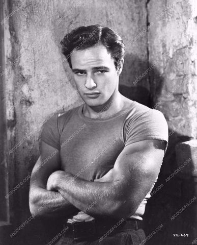handsome and studly tight shirt Marlon Brando Streetcar Named Desire 1227-07