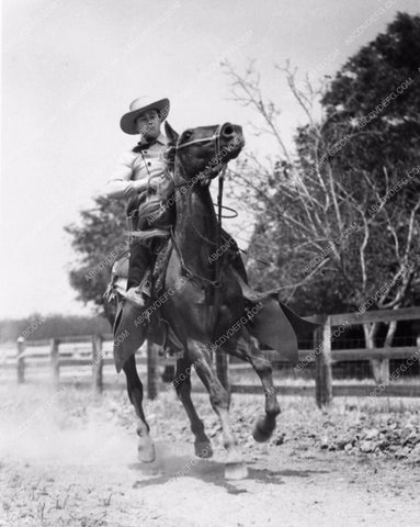 cowboy western star Tim Holt on his horse 1328-28
