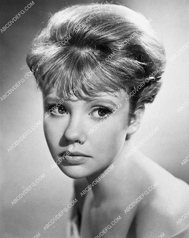 beautiful Hayley Mills portrait 1337-18