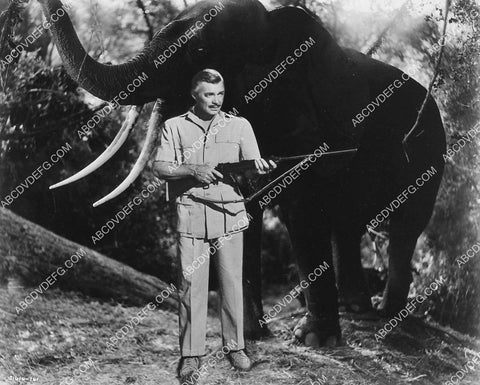 Clark Gable and big elephant film Mogambo 1337-34