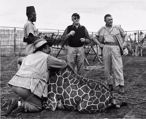 Clark Gable John Ford candid with giraffe behind the scenes Mogambo 1407-09