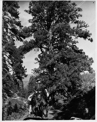 Nelson Eddy on horseback in the woods film Rose Marie 1535-12