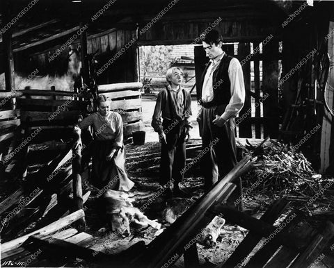 Jane Wyman Claude Jarman Jr Gregory Peck film The Yearling 1578-31