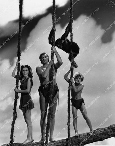 Maureen O'Sullivan Johnny Weissmuller Johnny Sheffield film Tarzan Finds a Son 1625-18