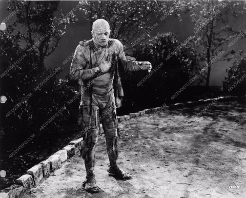 Lon Chaney Jr Mummy's Ghost 1711-24