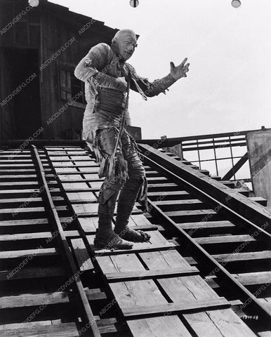 Lon Chaney Jr Mummy's Ghost 1711-30