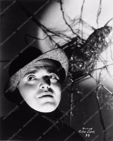 Peter Lorre portrait 1733-19