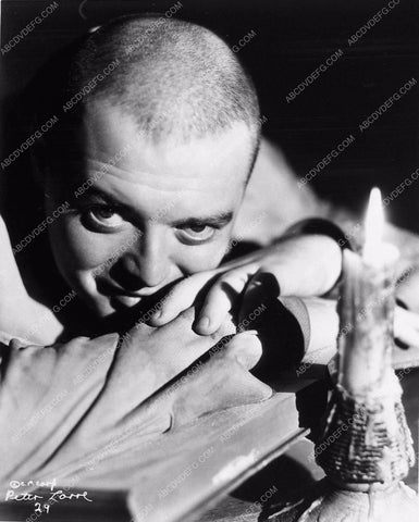Peter Lorre portrait 1733-23