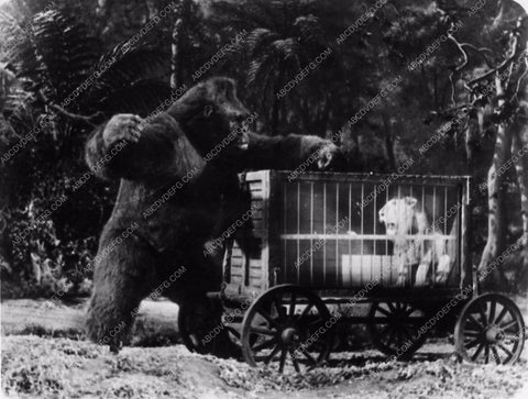 FX sequence film Mighty Joe Young 1774-16