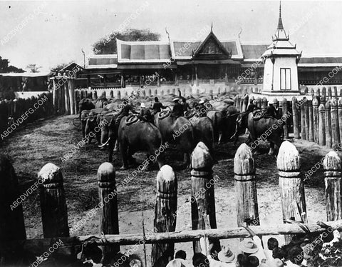 news photo elephant hunting in Burma 1827-33