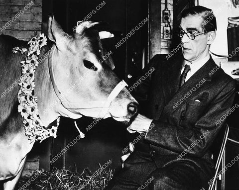 Boris Karloff gets visit from prize winning cow Daisy 1848-11
