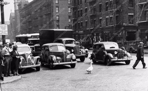 city street scene 1941 of a goose stopping traffic 1868-31