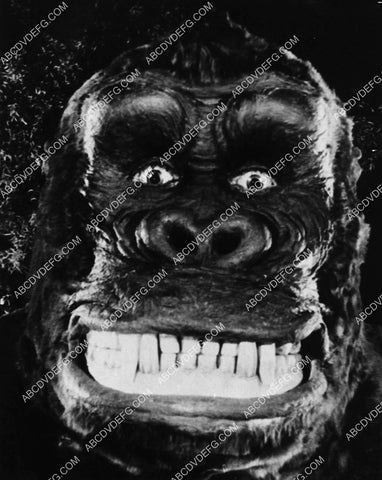 cool King Kong portrait 1892-32