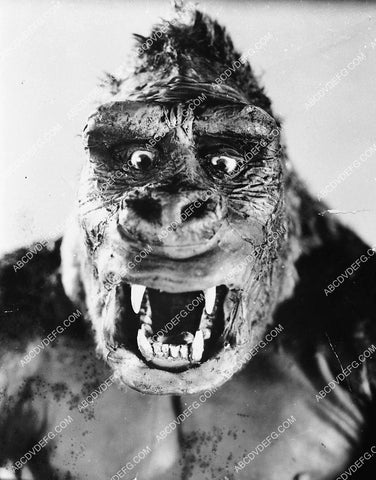 classic King Kong portrait 1899-25
