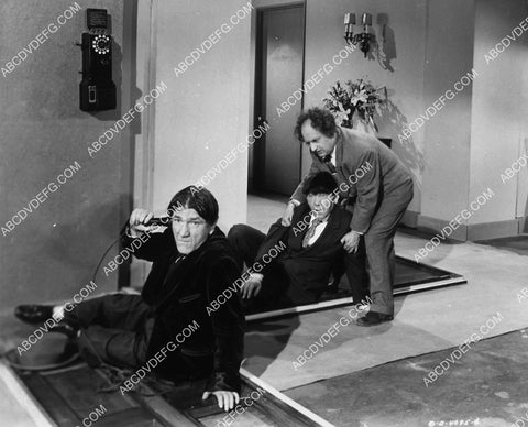 3 Stooges Moe Larry Shemp short film Brideless Groom 1956-22