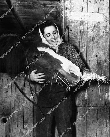candid Elizabeth Taylor feeding the horse film Cynthia 1974-27