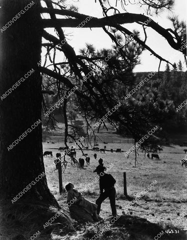 Joan Crawford Johnny Mack Brown film Montana Moon 2132-21