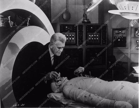 Boris Karloff horror film Frankenstein 1970 2158-11